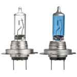 H7 Halogen Globes